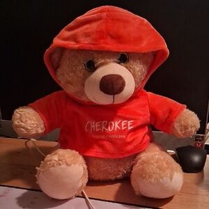 Cherokee Teddy Bear with Orange Hoodie
